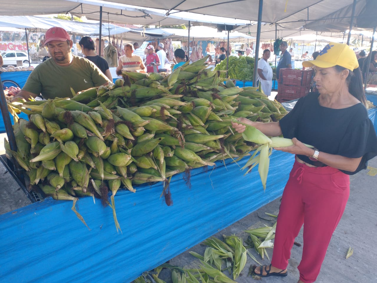 Registro e acompanhamento digital em campo